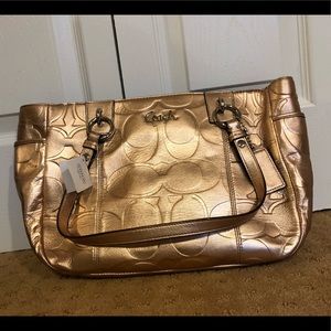 Bronze Coach Purse